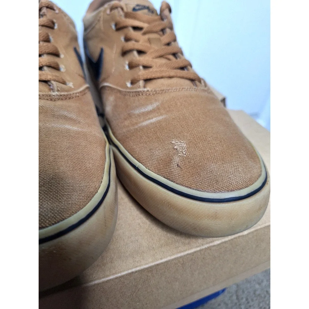 Nike sb chron